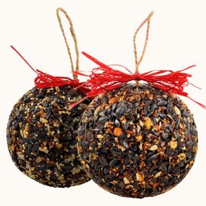 Seed & Nut Ornament