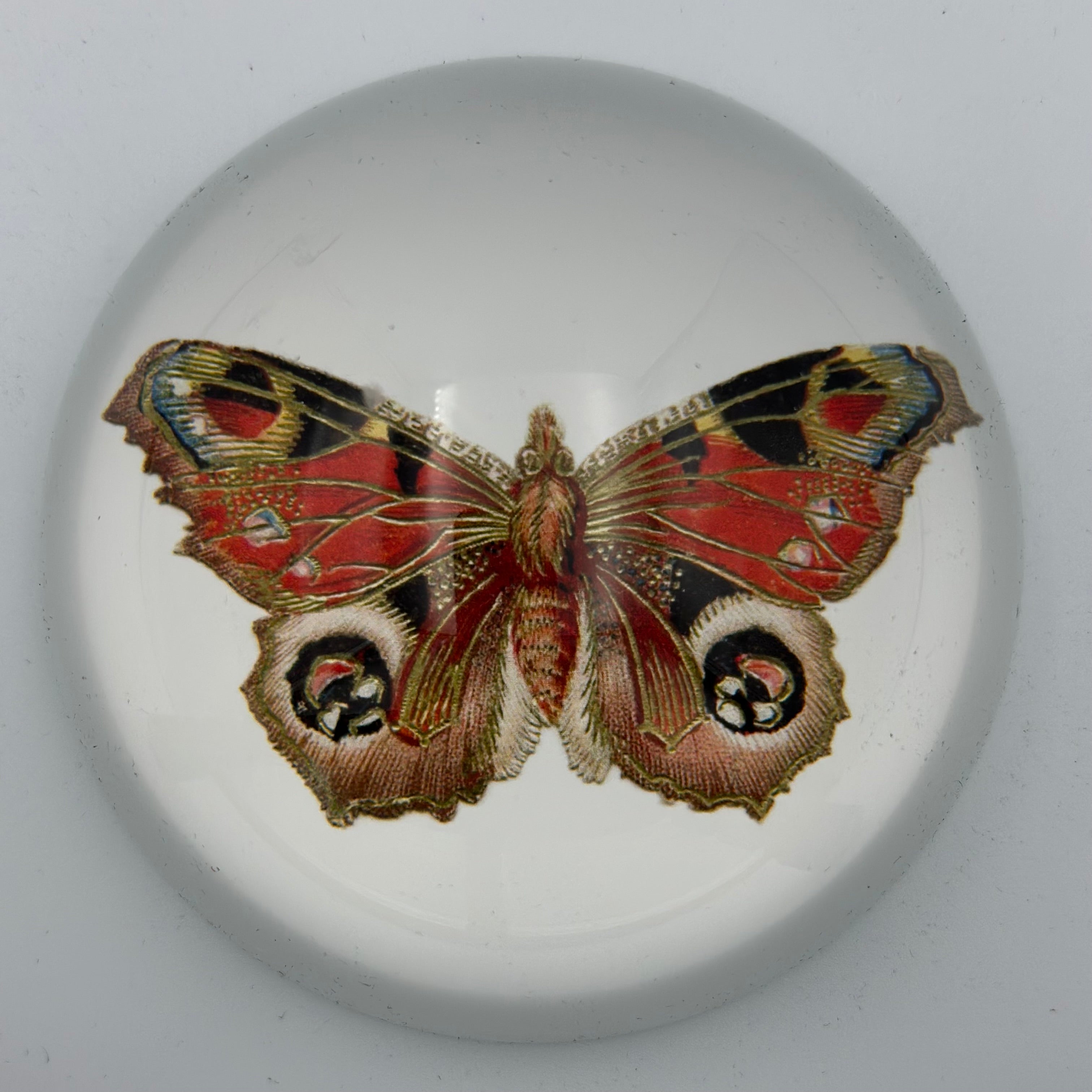 Paperweight