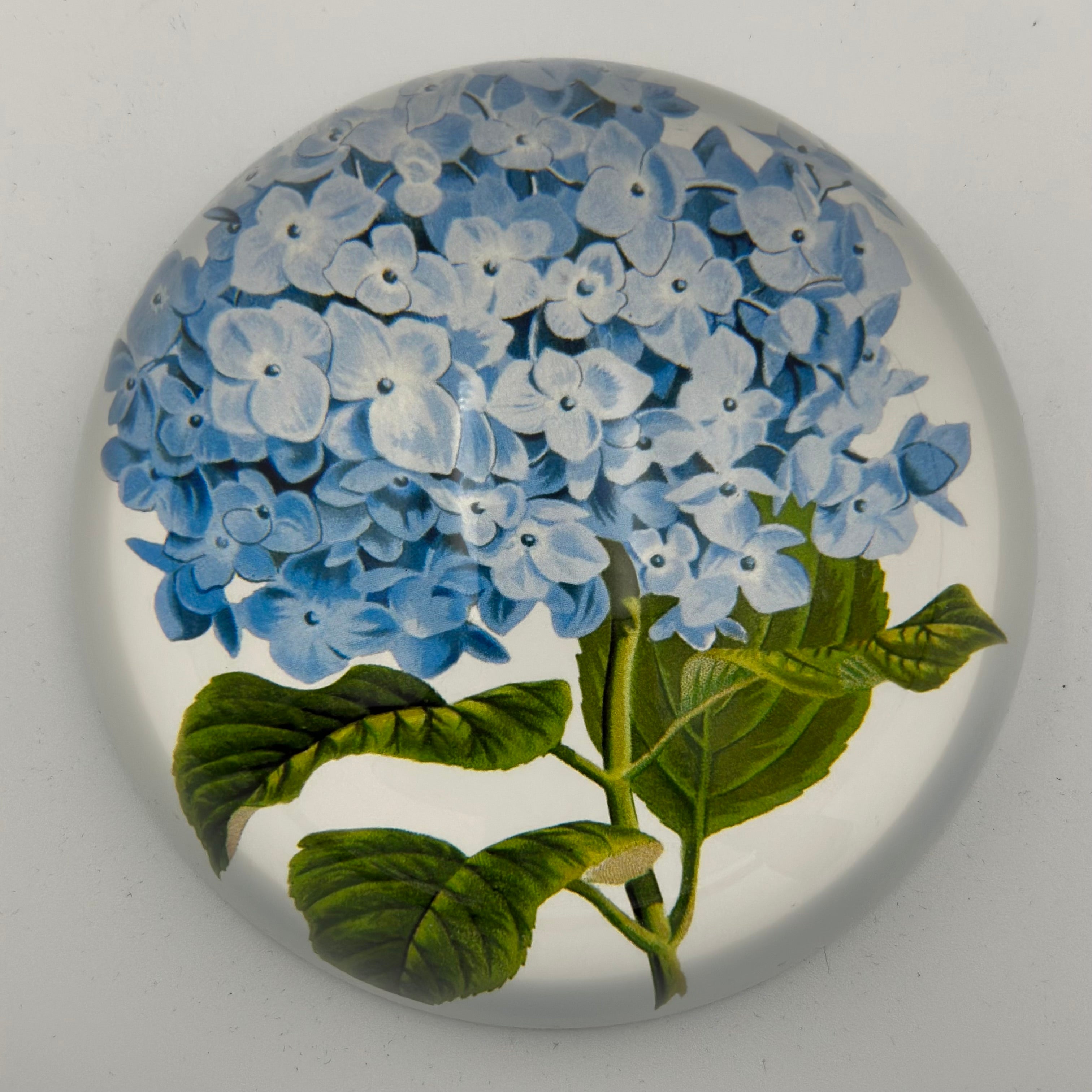 Paperweight