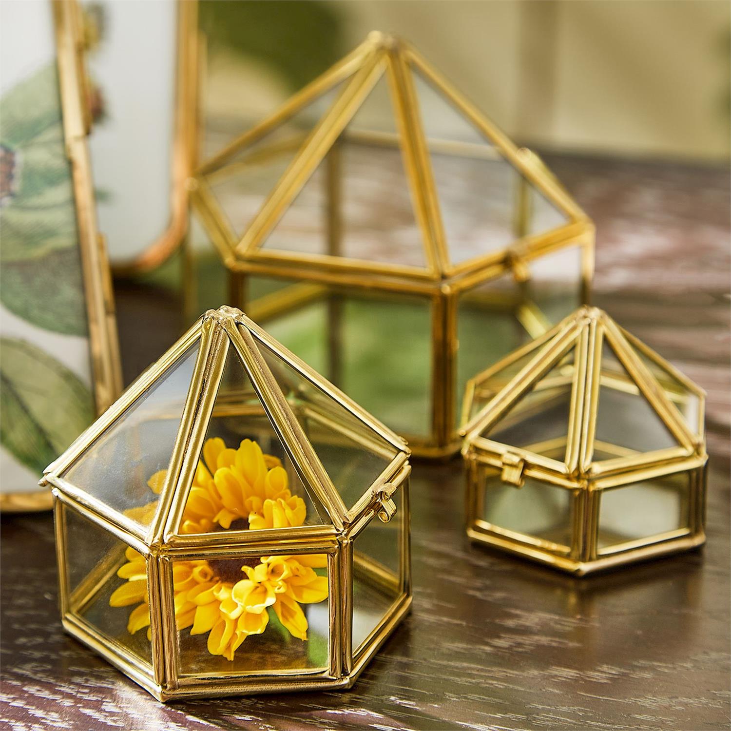 Brass Trinket Box Lg