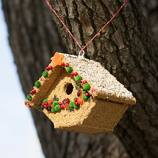 Bird Casita Fruit