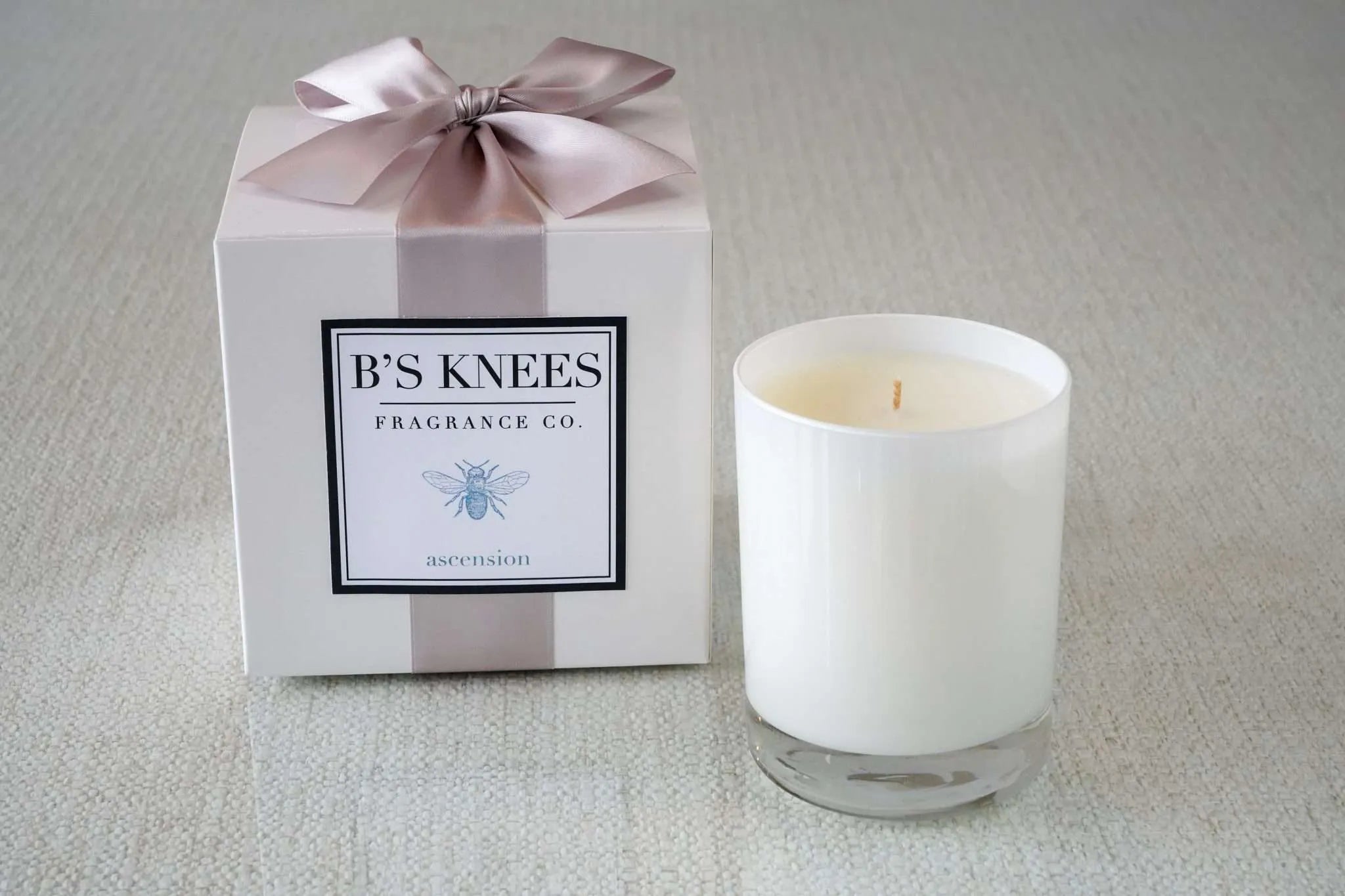 1 Wick White Glass Candle