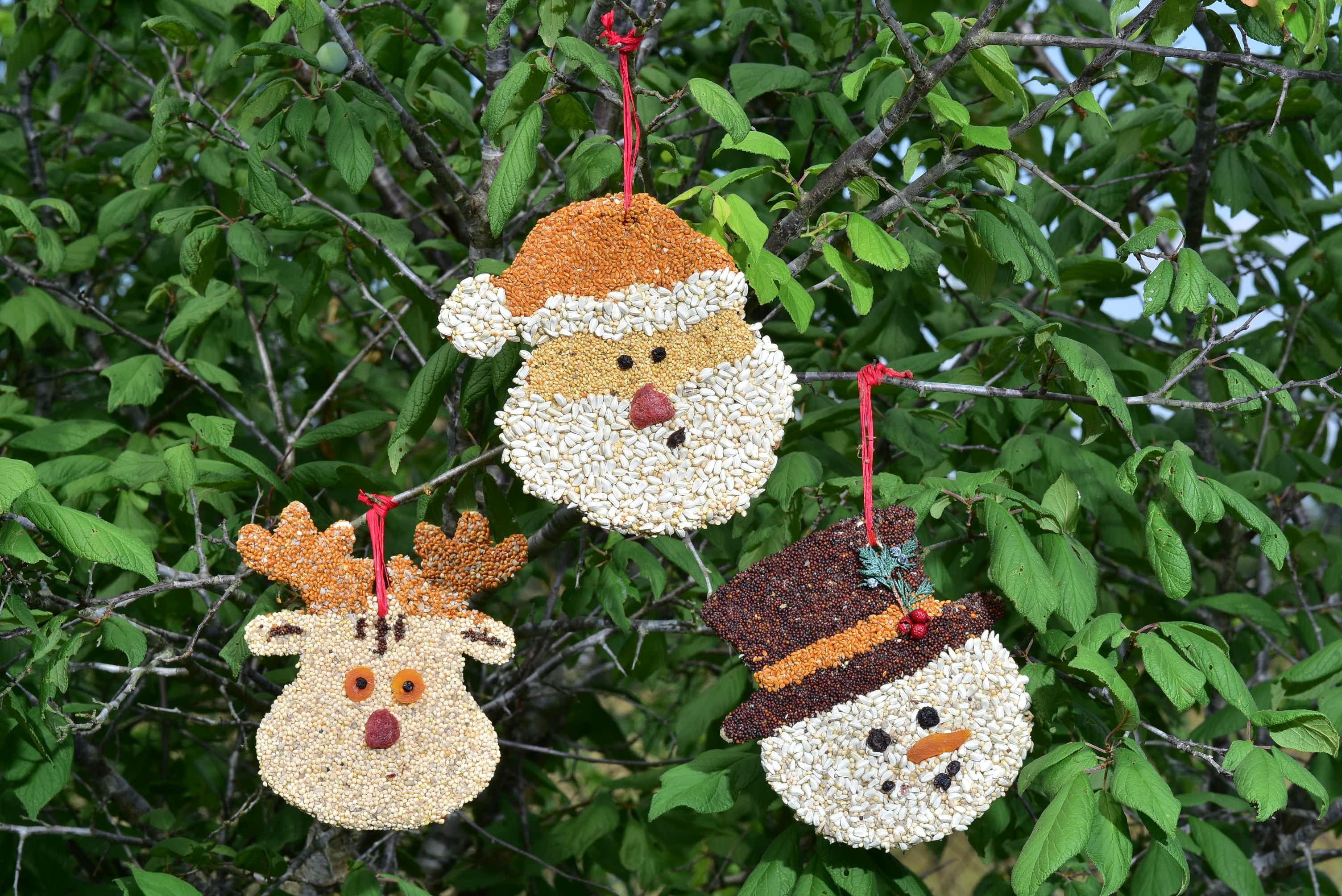 Bird Christmas Cookie