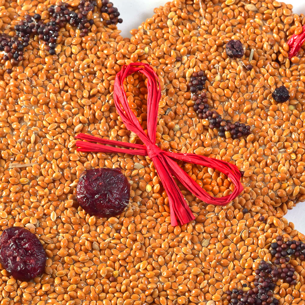 Bird Cookie Gingerbread
