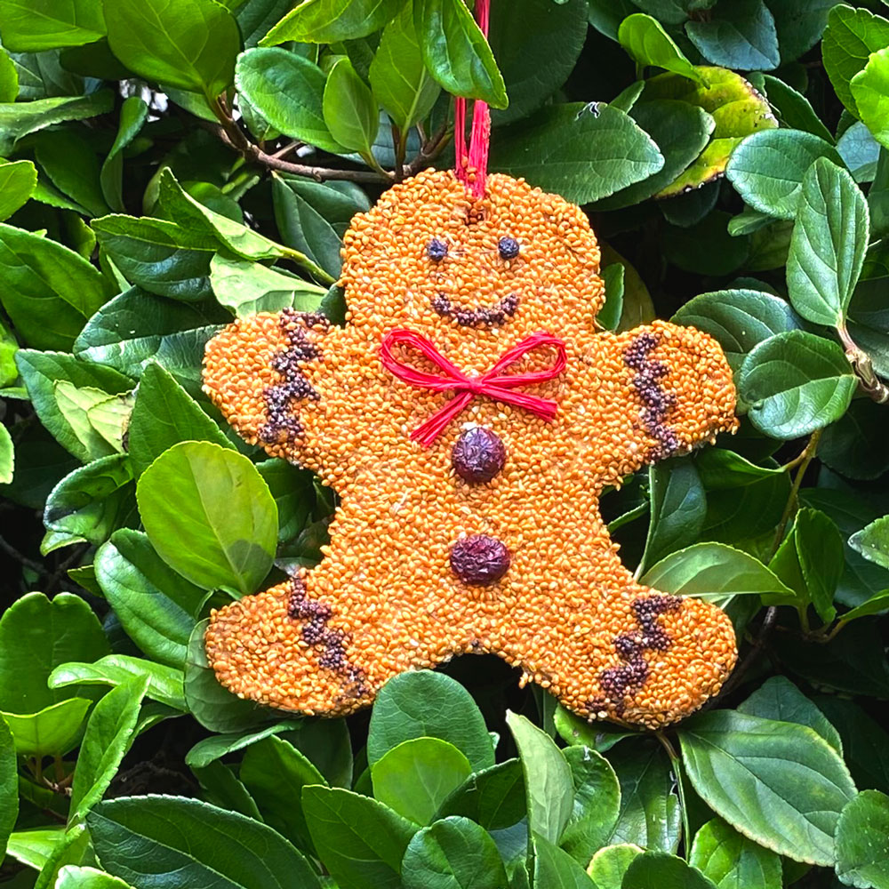 Bird Cookie Gingerbread